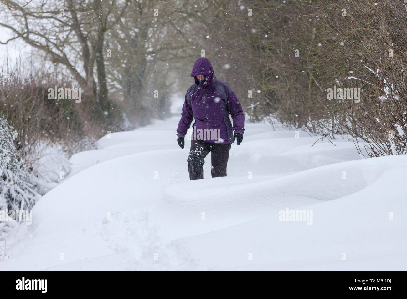 Barnard Castle, comté de Durham. Dimanche 18 mars 2018. Météo britannique. Les combats d'une femme dans la neige profonde et blizzard comme la bête de l'Est 2 bites dur dans le comté de Durham. David Forster/Alamy Live News Banque D'Images