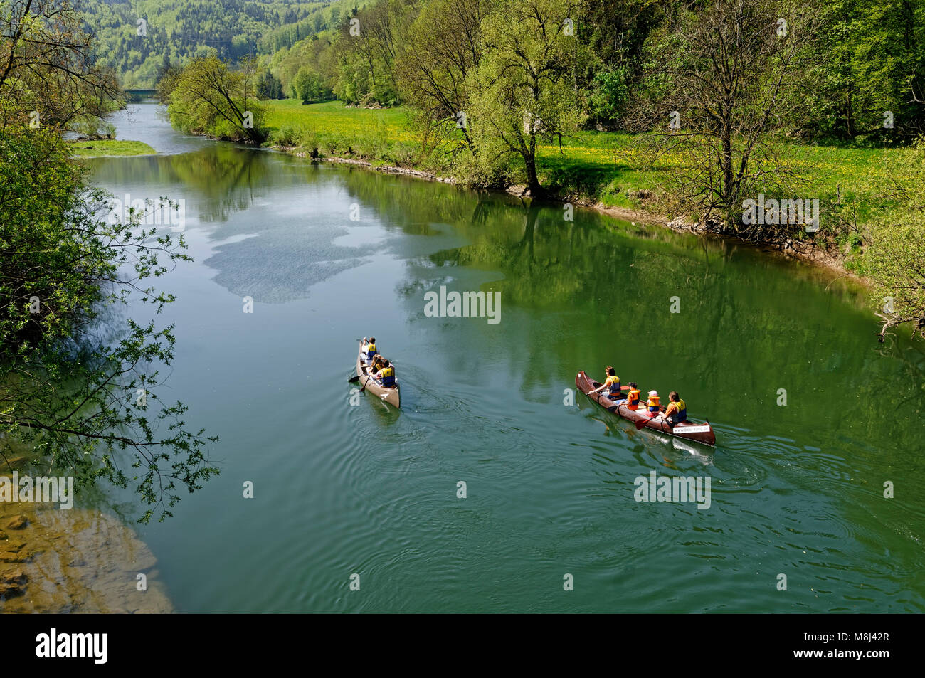 Haute vallée du Danube (Oberes Donautal) : canoës avec pagayage sur le danube près de Beuron, district de Sigmaringen, Bade-Wurtemberg, Allemagne Banque D'Images