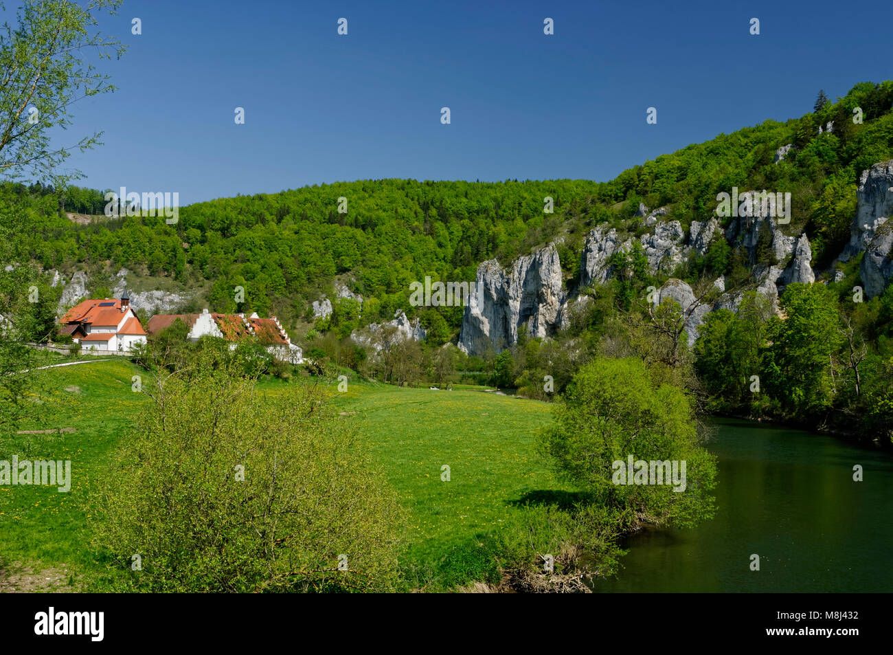 Oberes Donautal (Haute vallée du Danube) près de Thiergarten (Beuron), district de Sigmaringen, Bade-Wurtemberg, Allemagne Banque D'Images