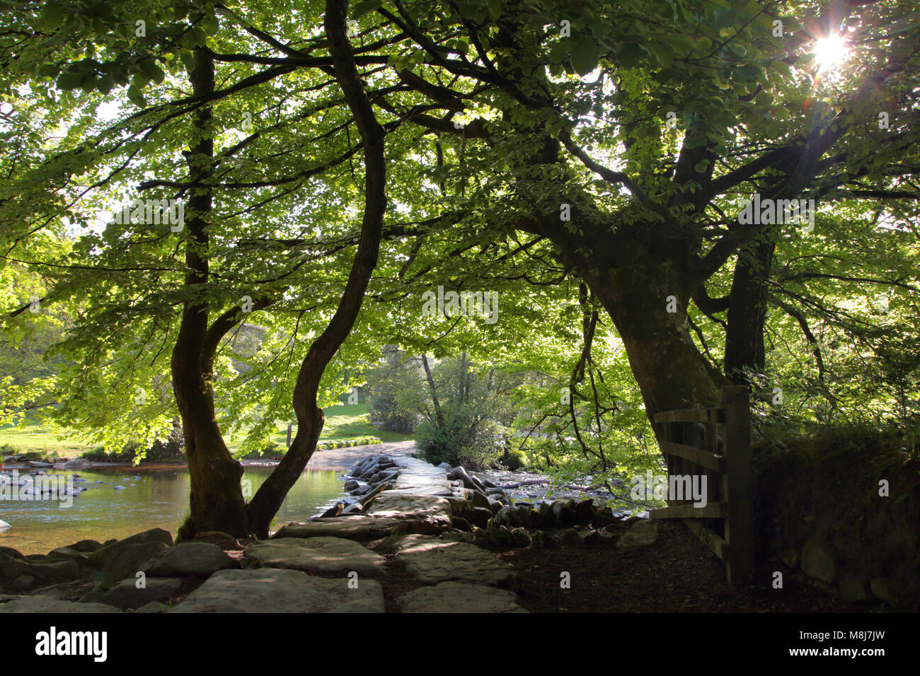 Tarr Étapes clapper médiévale pont traversant la rivière Barle au Parc National d'Exmoor, Somerset, sur un beau matin d'été Banque D'Images