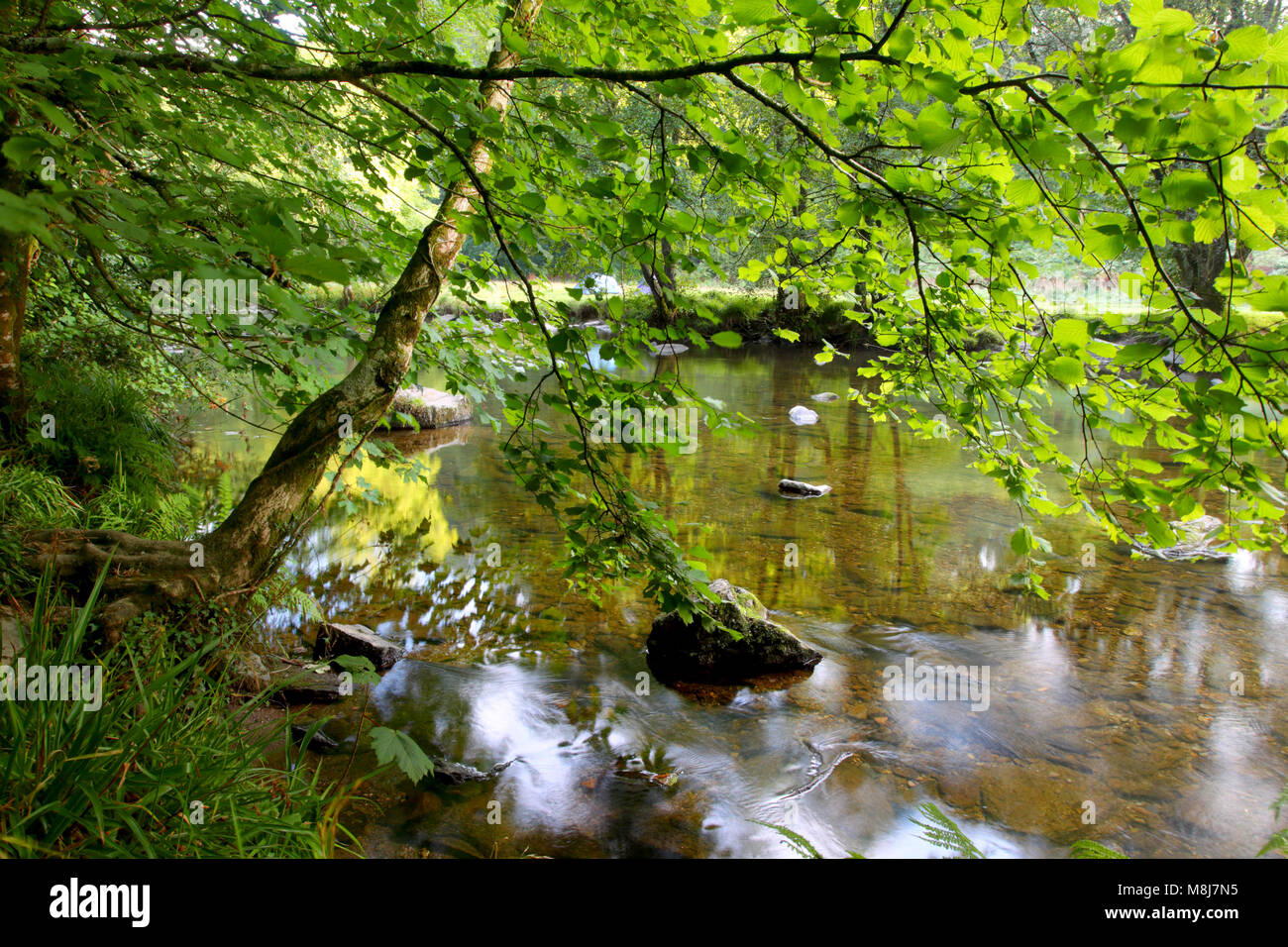 La rivière Barle près de Tarr Étapes clapper bridge dans le Parc National d'Exmoor, Somerset, Angleterre Banque D'Images