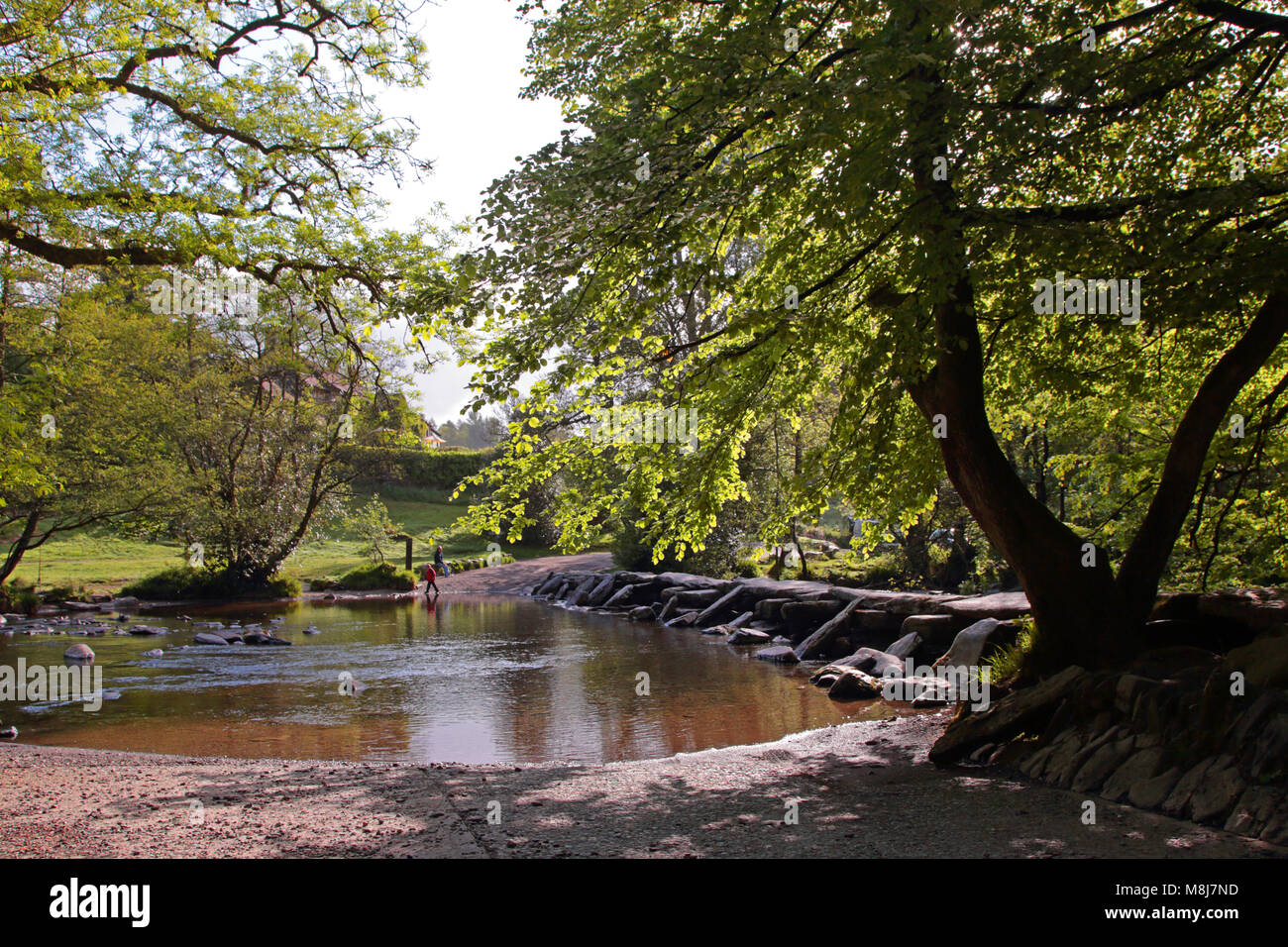 Tarr Étapes clapper médiévale pont traversant la rivière Barle au Parc National d'Exmoor, Somerset, sur un beau matin d'été Banque D'Images