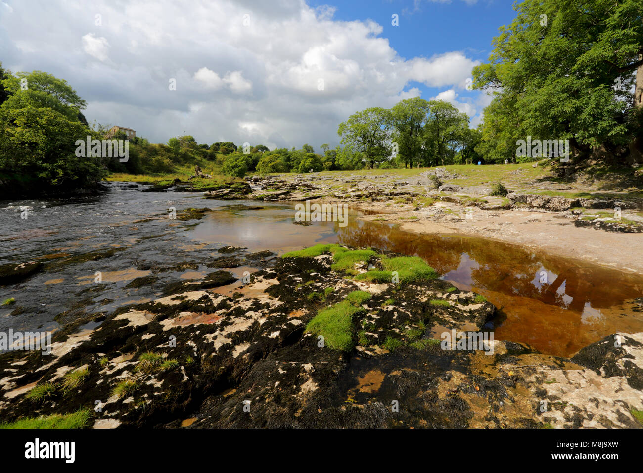 La belle rivière Wharfe dans près de Grassington Wharfedale, Yorkshire du Nord, Yorkshire Dales National Park, en Angleterre, sur une journée ensoleillée au début de l'automne Banque D'Images