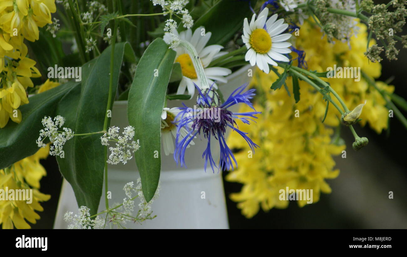 Bouquet de fleurs sauvages dans un pot à lait émaillé Banque D'Images
