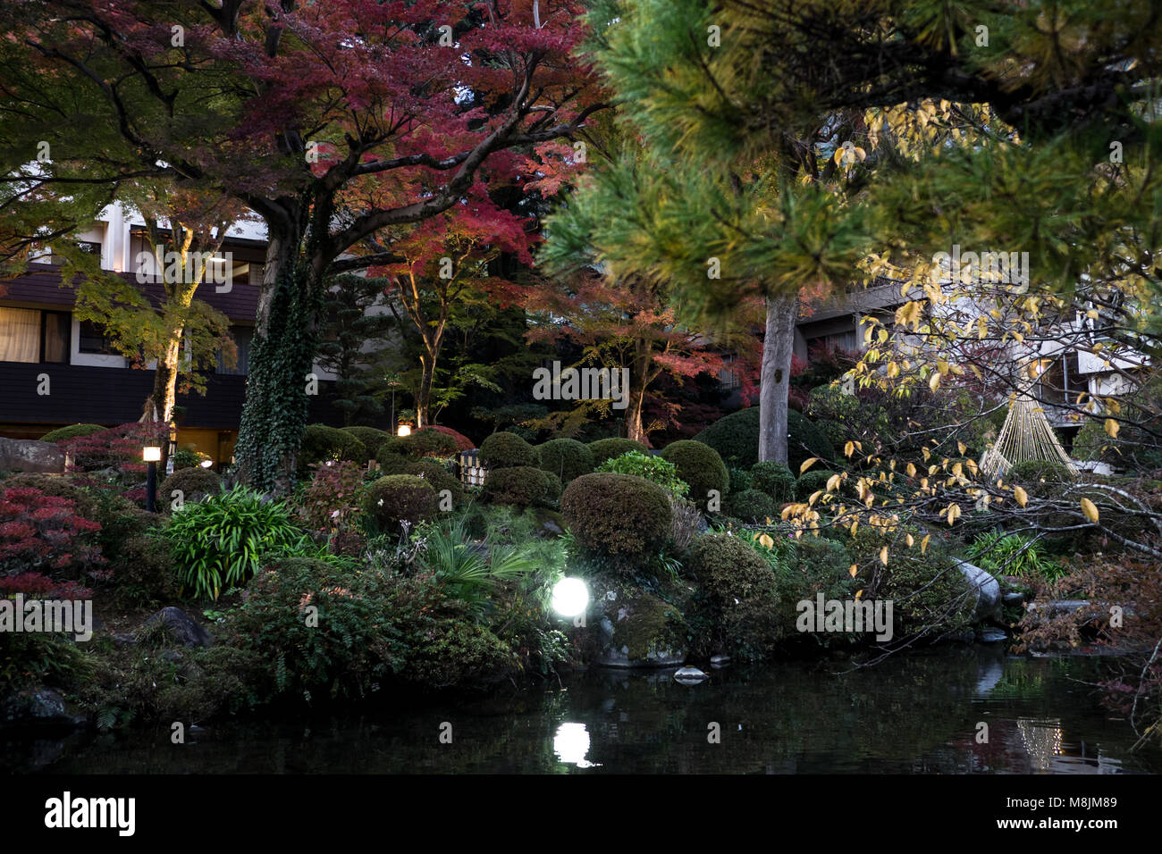 Un jardin japonais avec beaucoup d'aménagement paysager Banque D'Images