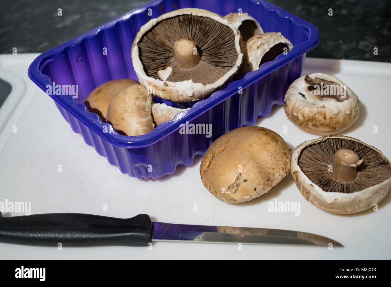 Boîte de champignons Banque D'Images