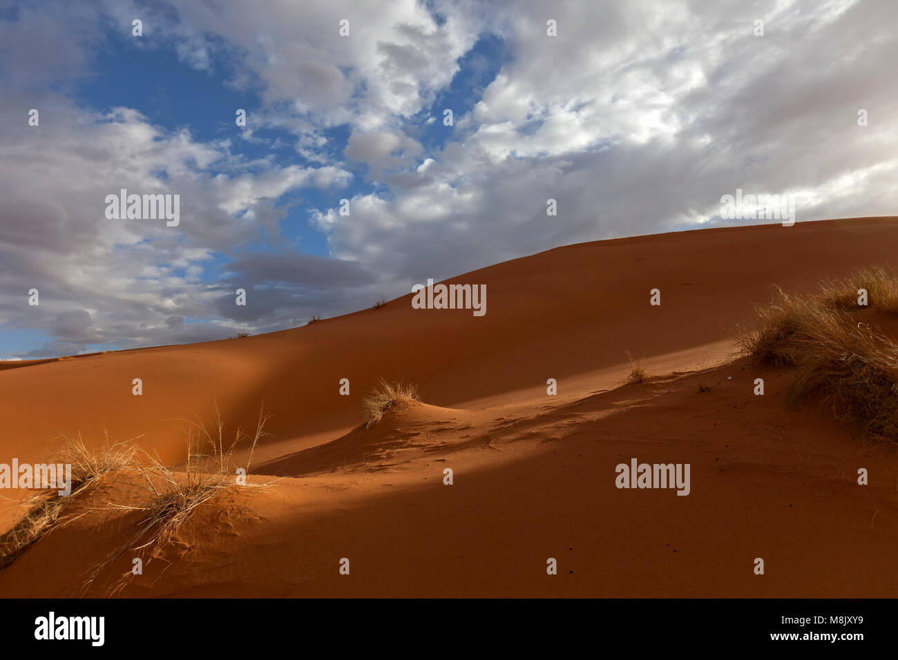 Erg Chebbi. Les dunes de sable. Maroc Banque D'Images