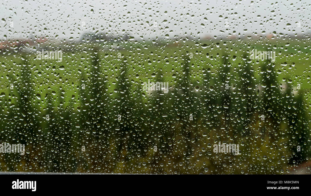 Gouttes de pluie sur la fenêtre Banque D'Images