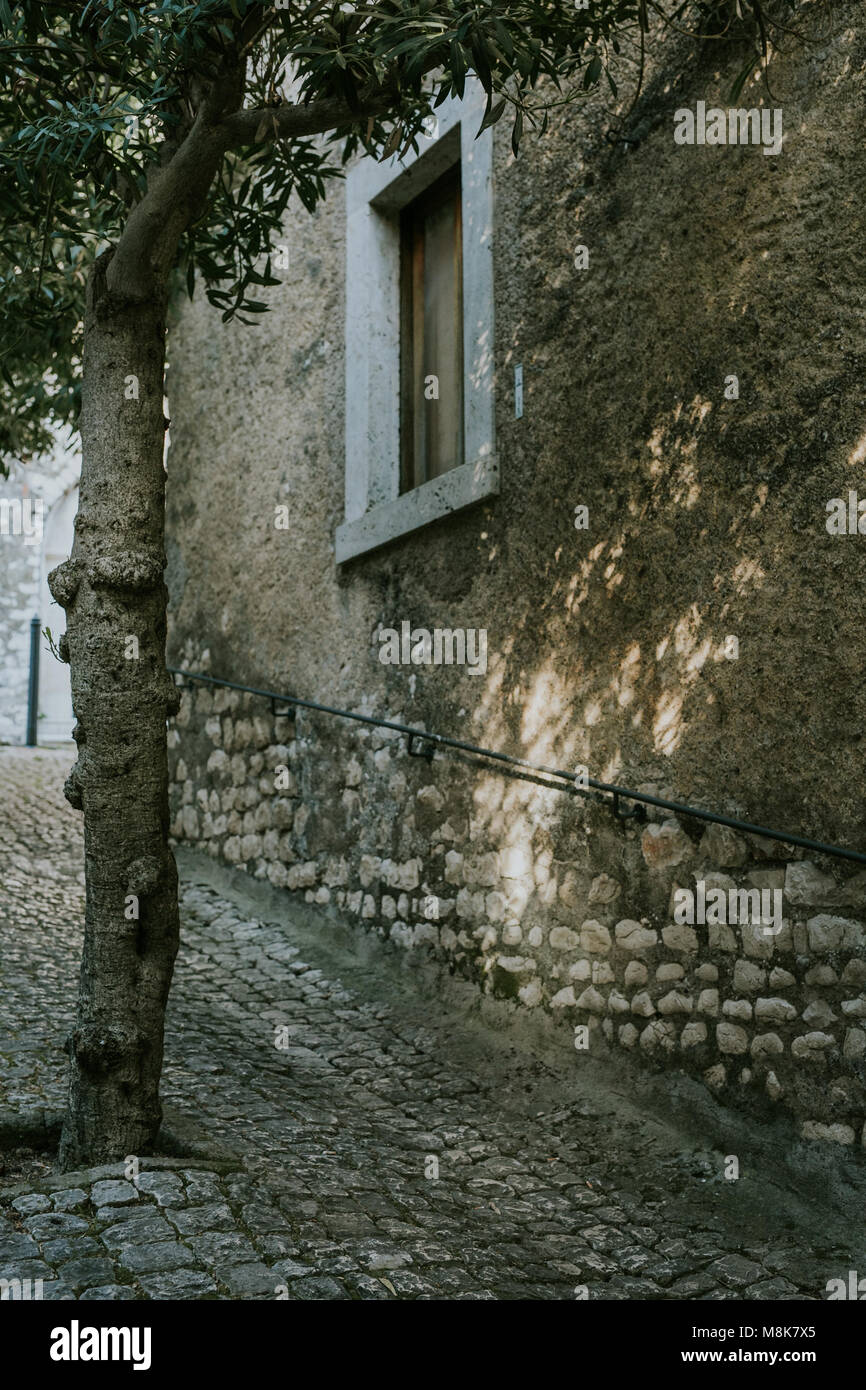 La lumière du matin sur chambre à Sermoneta, Italie Banque D'Images