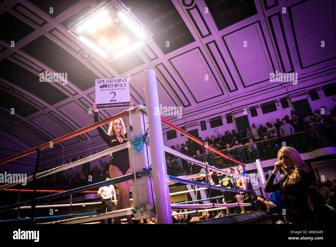 Ring girl at York Hall, Bethnal Green Banque D'Images