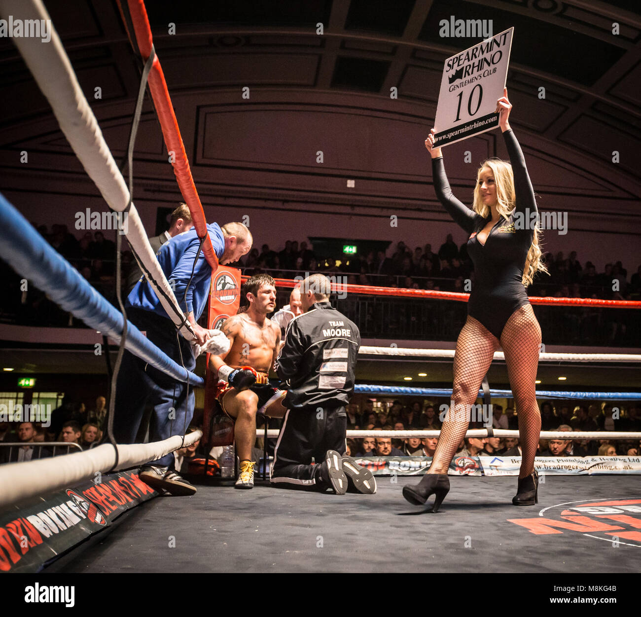 Boxing ring girl round Banque de photographies et d’images à haute
