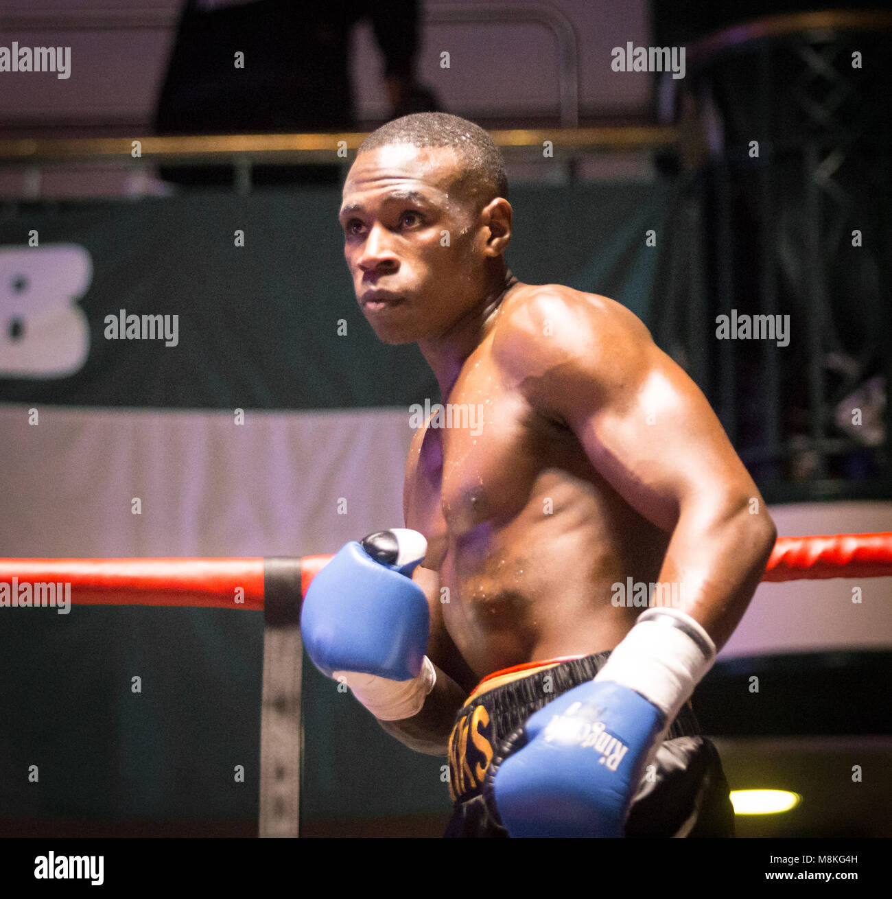 Chris Eubanks, ex-fils Nathahael Wilson la boxe à York Hall, Bethnal Green Banque D'Images