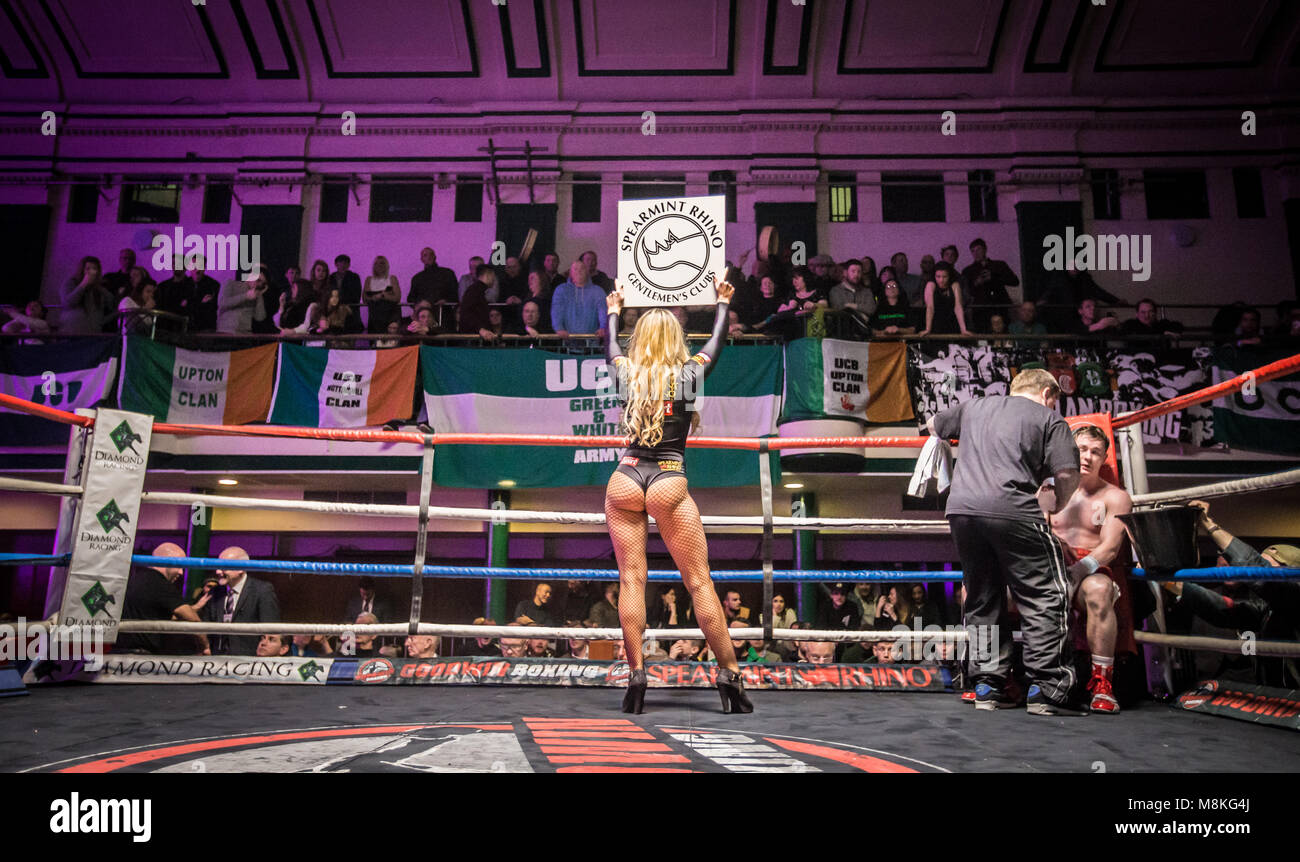 Ring girl at York Hall, Bethnal Green Banque D'Images