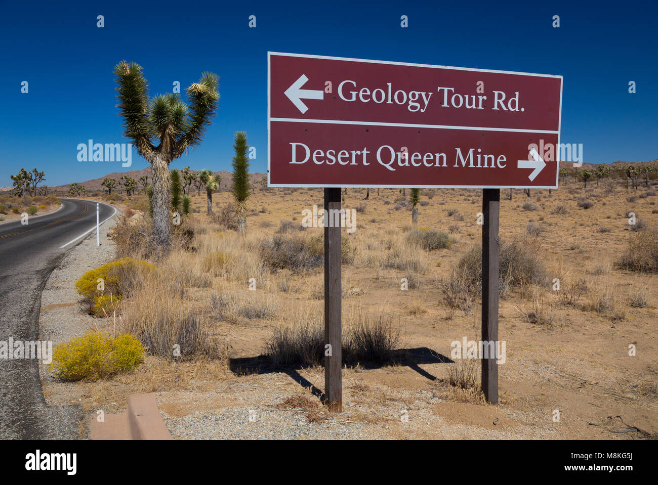 Sign post le Park Boulevard pour Desert Queen Mine et la route, le parc national Joshua Tree, California, USA Banque D'Images