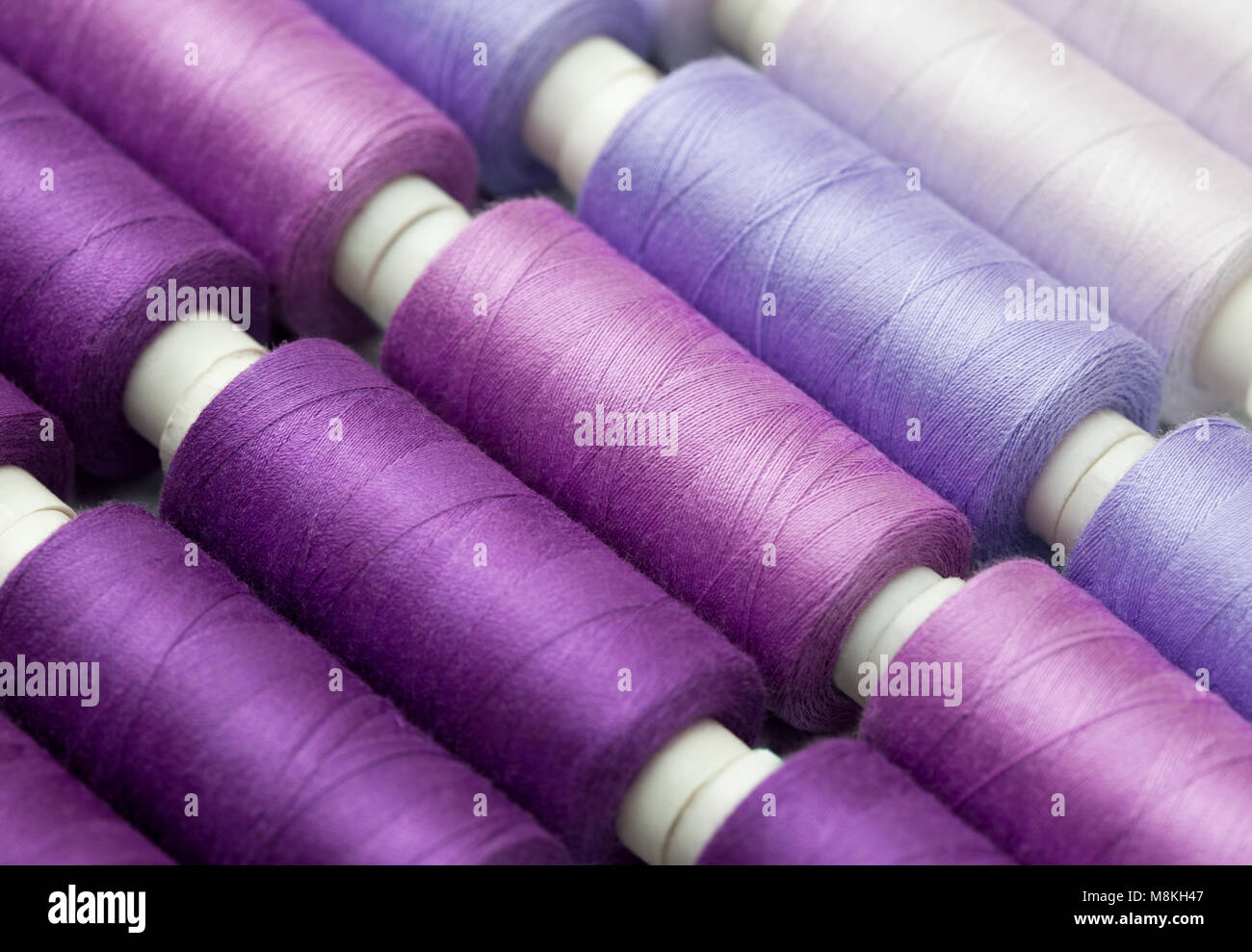 Les tiroirs de thread d'arrière-plan, lilas, pourpre, close-up Banque D'Images
