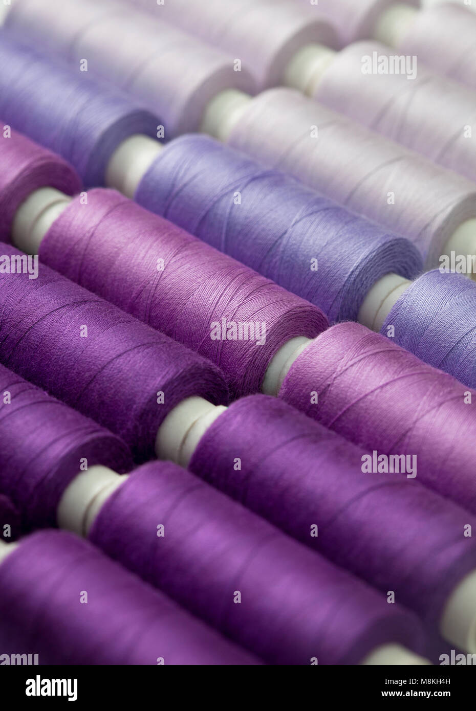 Les tiroirs de thread d'arrière-plan, lilas, pourpre, close-up Banque D'Images