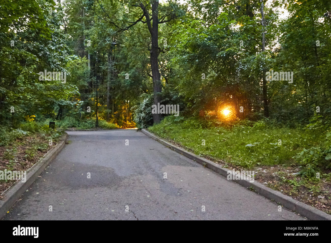 Parc de la ville avec des sentiers pavés au coucher du soleil Banque D'Images