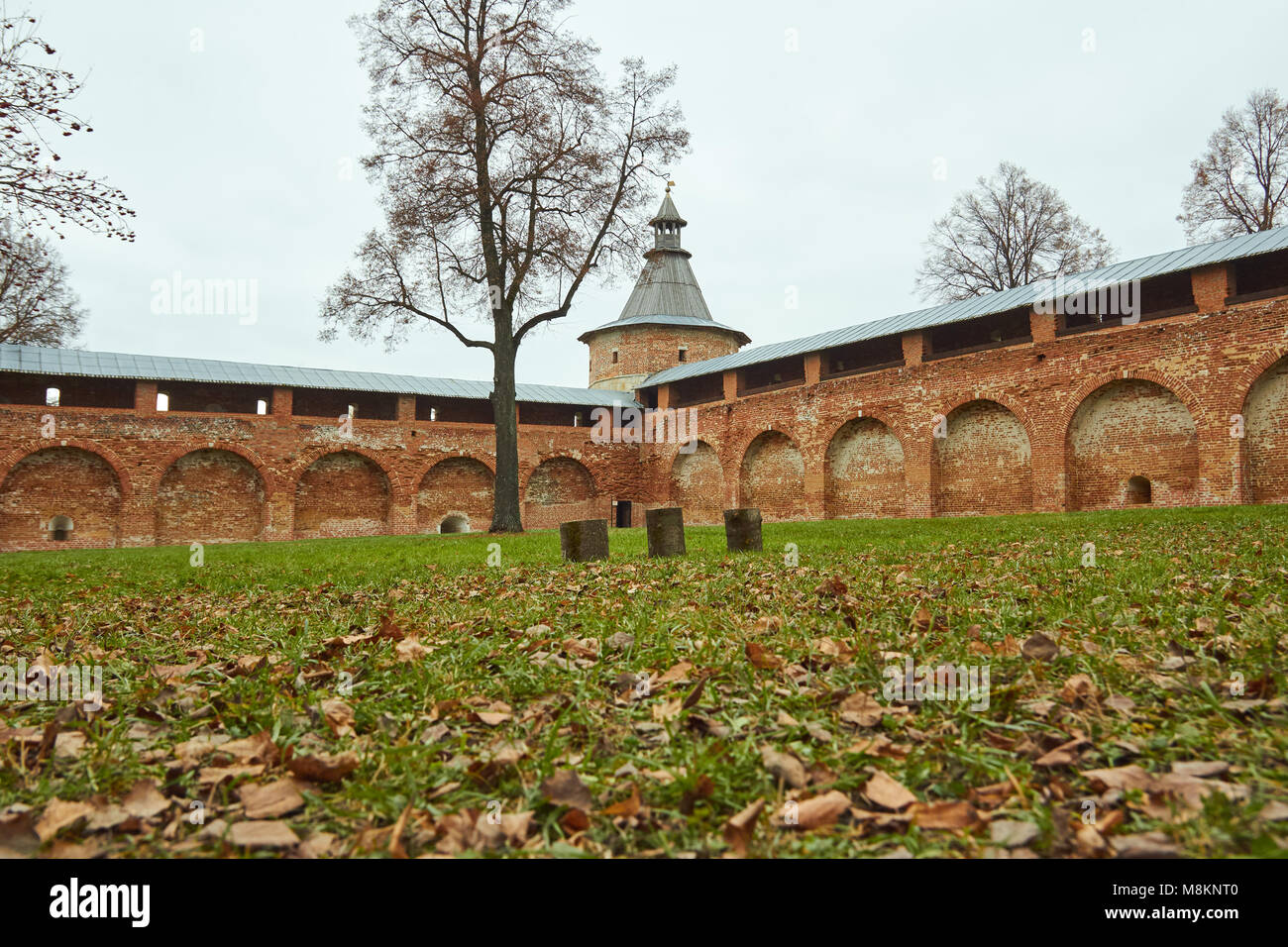 Mur de briques de protection de l'Zaraisk Kremlin Banque D'Images