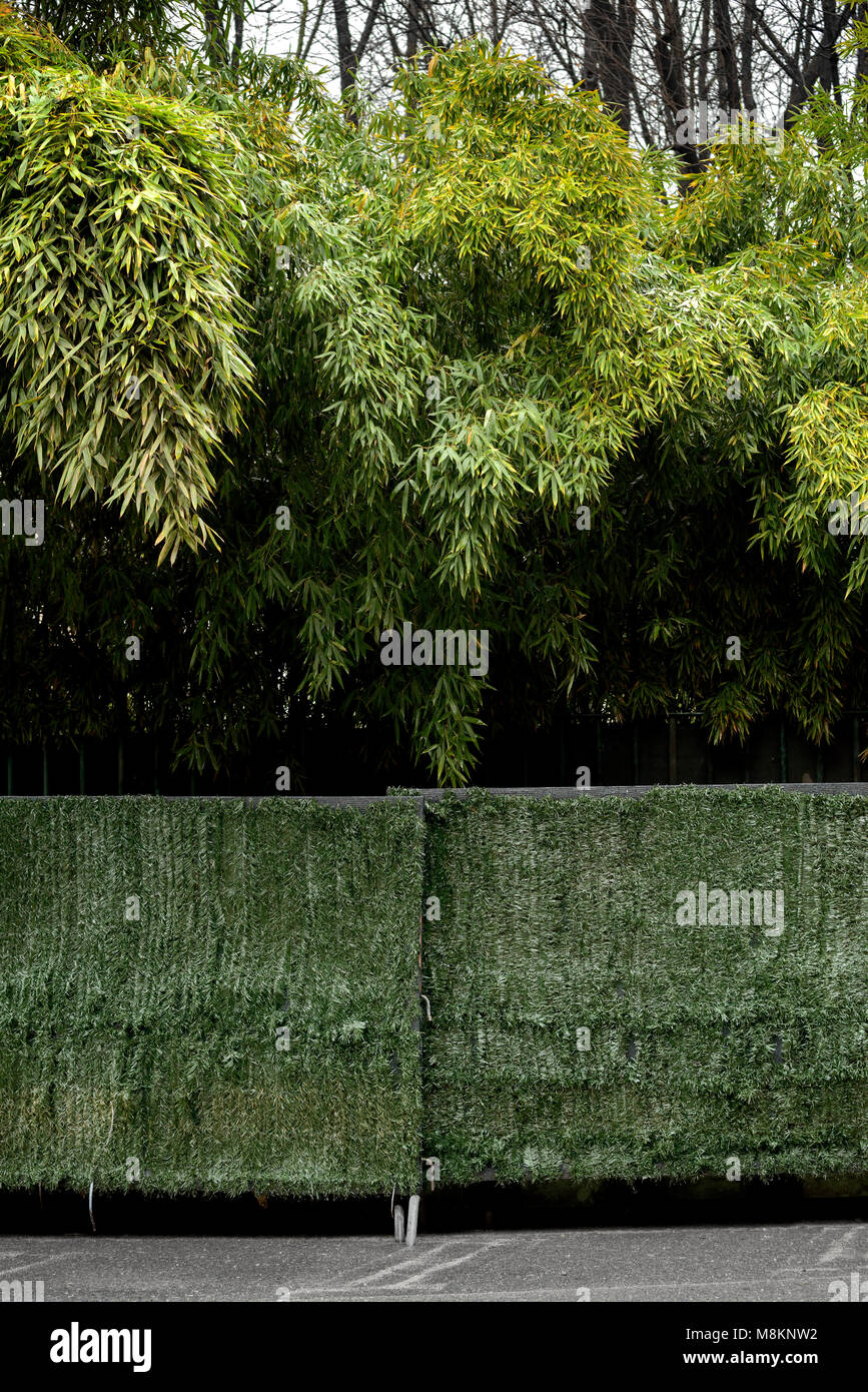 Faux gazon du panneau de diviseur Banque D'Images