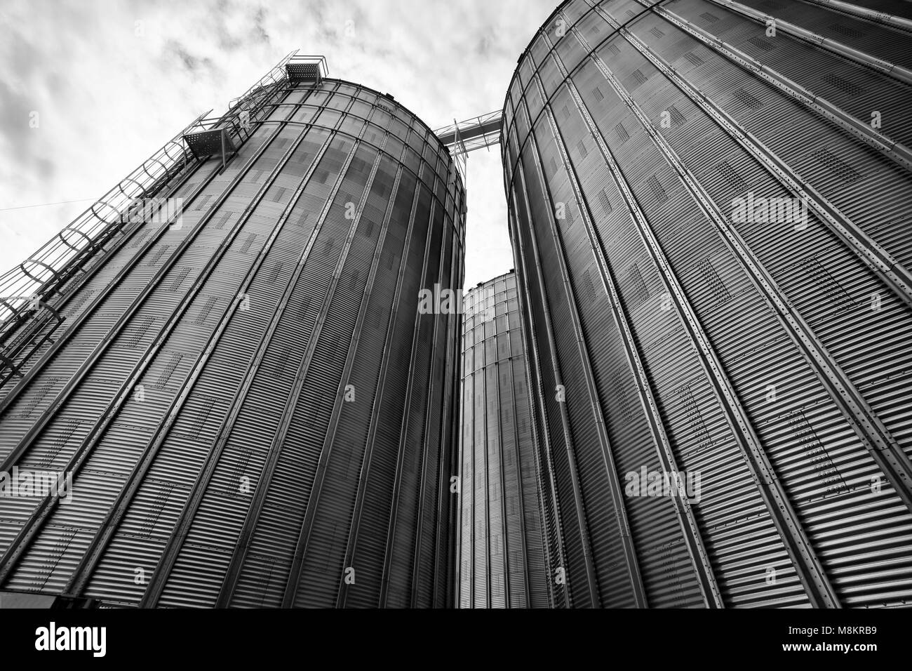 Silos agricoles en Ontario, Canada Banque D'Images