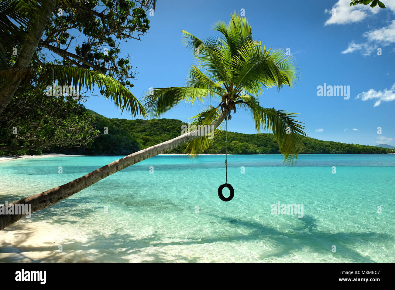 Rope swing pendu à un palmier sur l'eau à une plage déserte sur l'île de St John dans le US Virgin Islands National Park. Banque D'Images Rope swing pendu à un palmier sur l'eau à une plage déserte sur l'île de St John dans le US Virgin Islands National Park. Banque D'Images