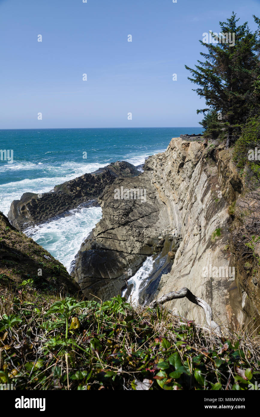 La côte rocheuse et des vagues spectaculaires font partie de l'attraction de Shore Acres State Park dans l'Oregon Banque D'Images