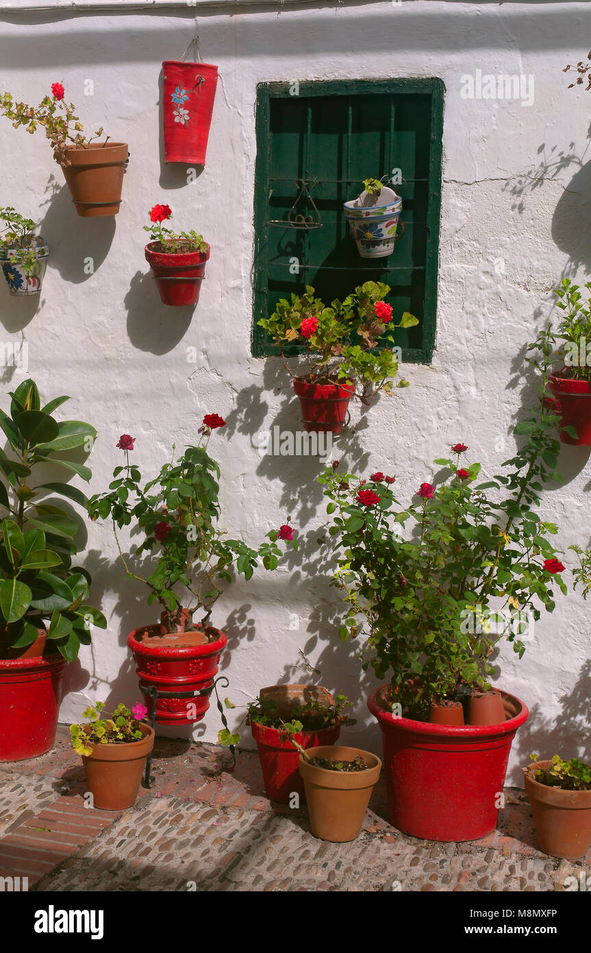 Une cour typique de pots. Près de El Cerro. Cabra. Cordoba province. Région de l'Andalousie. L'Espagne. L'Europe Banque D'Images