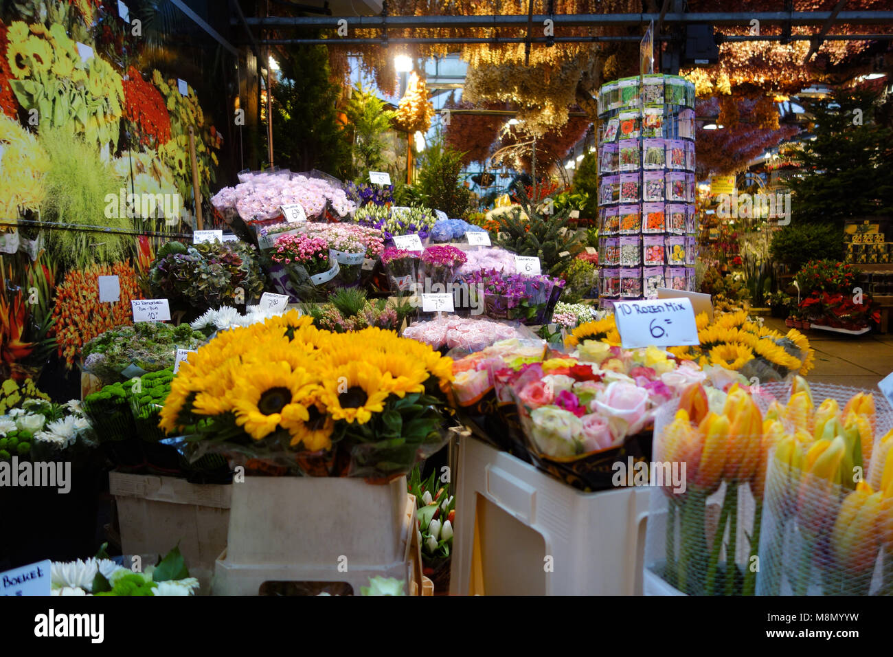 Dec 20, 2017 - Des fleurs et des graines en vente au Studio Rose, Marché aux Fleurs, Amsterdam, Pays-Bas Banque D'Images