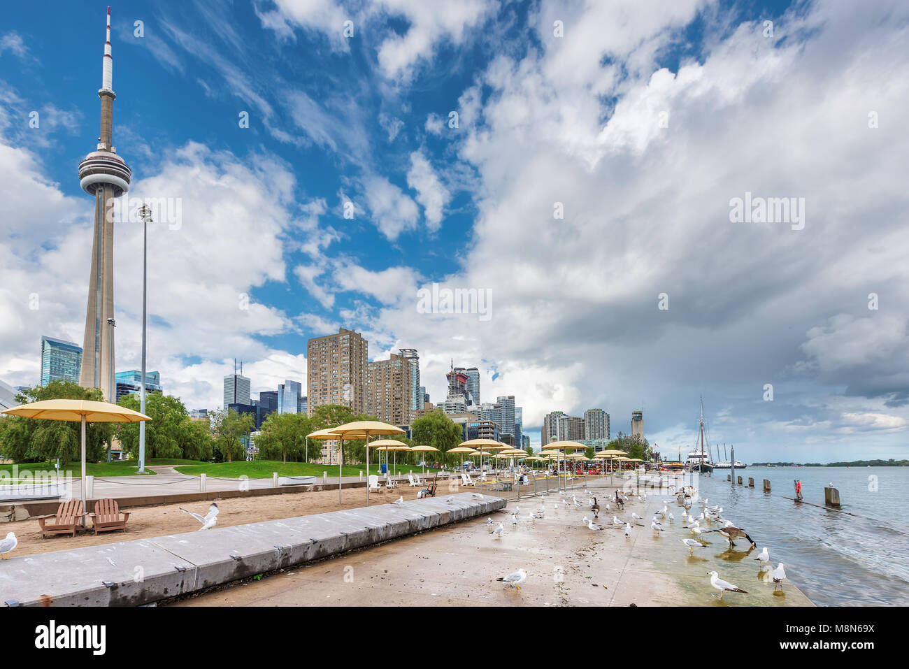 Plage avec tour du CN de Toronto Banque D'Images