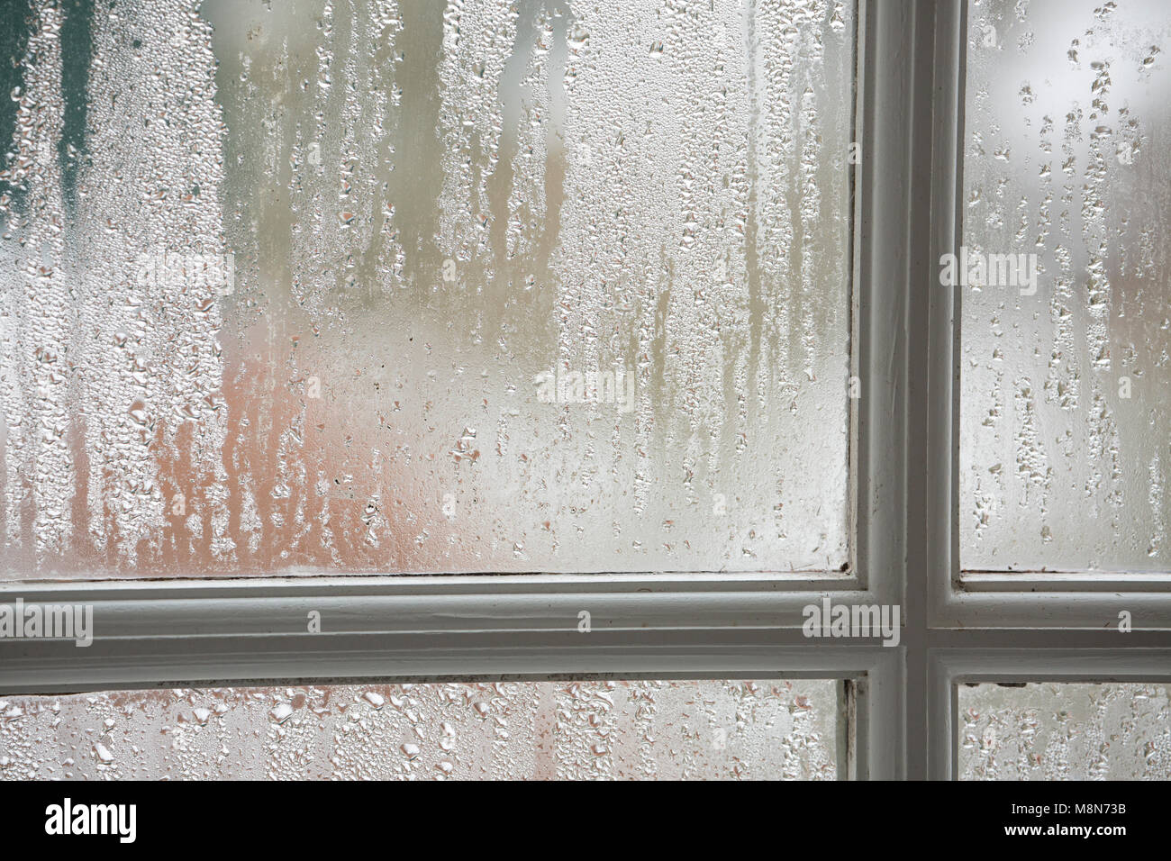 La condensation sur les fenêtres à guillotine en bois volet unique par temps froid, Dorset UK Banque D'Images