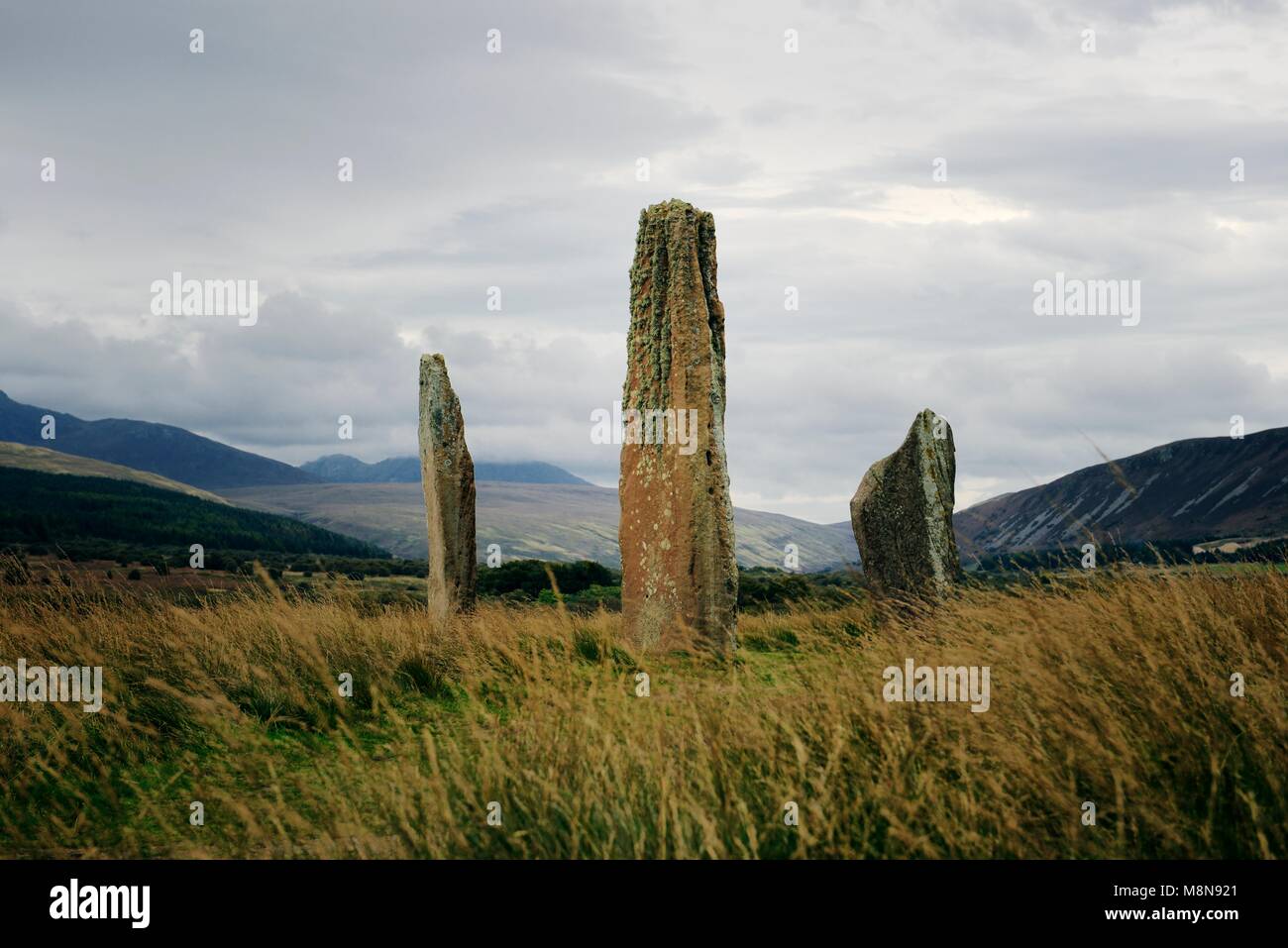 Machrie Moor cercles de pierre préhistoriques. Ile d'Arran, en Écosse. L'année 4000 + site rituel mégalithique. Cercle 2 illustré. 4,9 m plus haut Banque D'Images