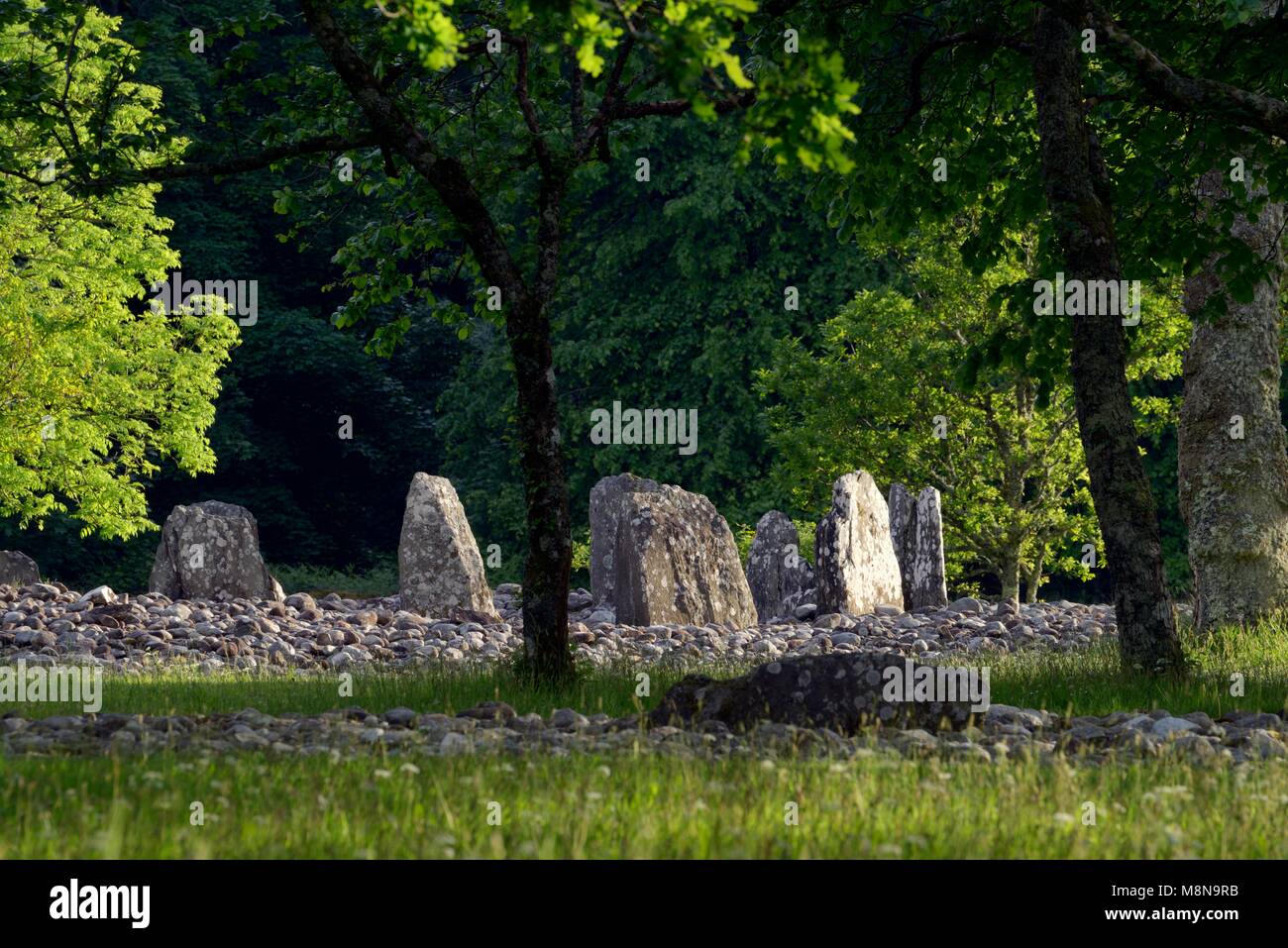 Templewood Bois temple mégalithique préhistorique année 4000 + stone circle de sépulture. La vallée de Kilmartin, Argyll, Scotland. Secteur nord du cercle principal Banque D'Images