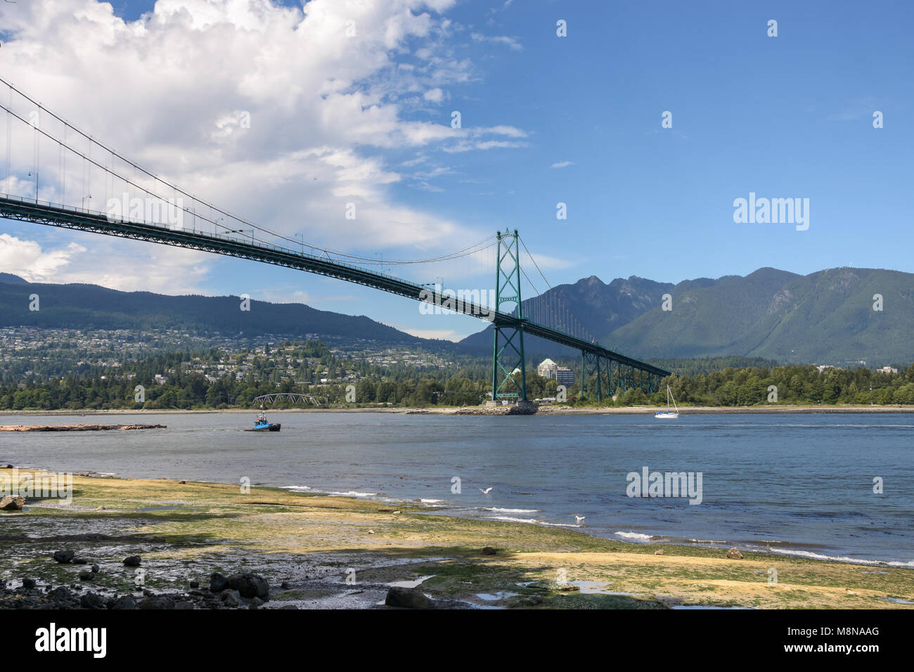 Vue du pont Lions Gate de Stanley Park seawall Banque D'Images