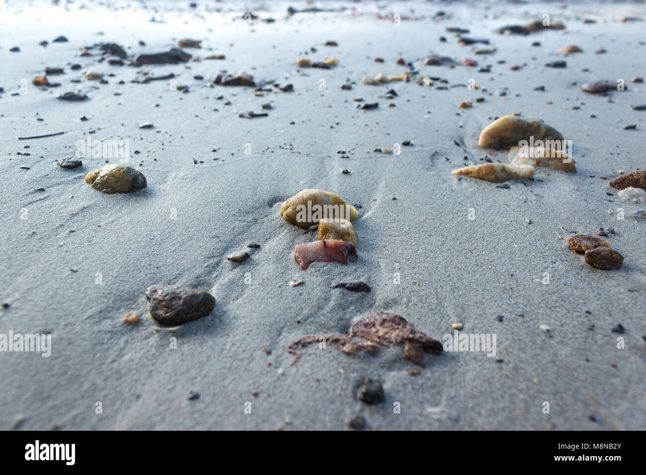 Galets sur une plage de sable fin de matinée Banque D'Images