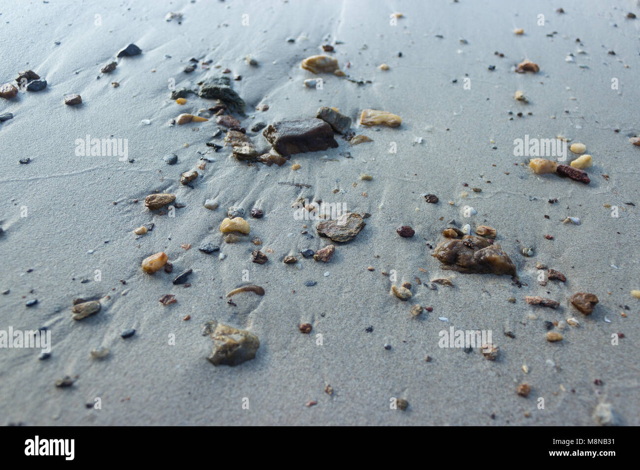 Galets sur une plage de sable fin de matinée Banque D'Images