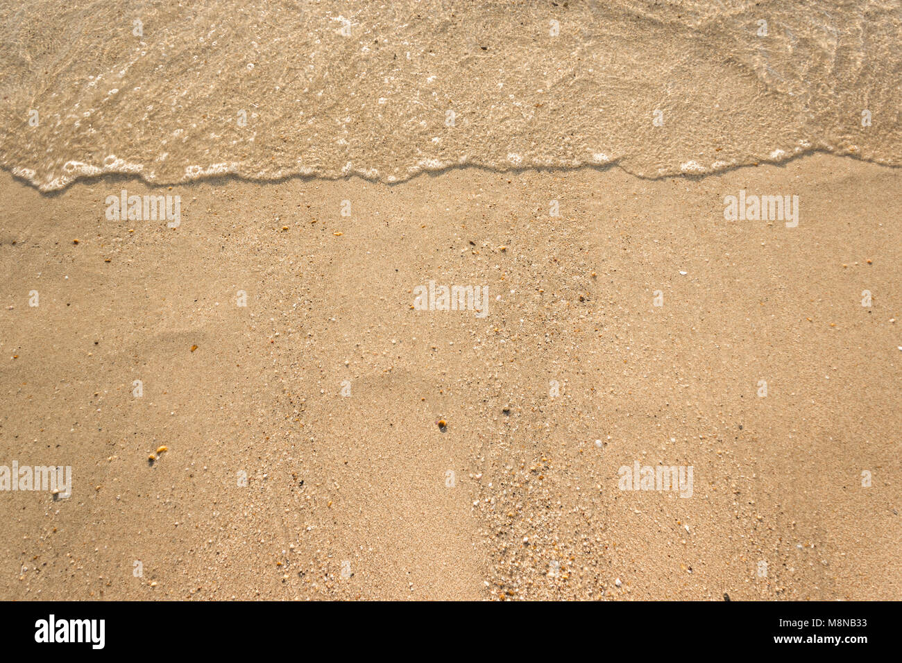 Vagues douces avec de la mousse de l'océan sur la plage de sable contexte Banque D'Images