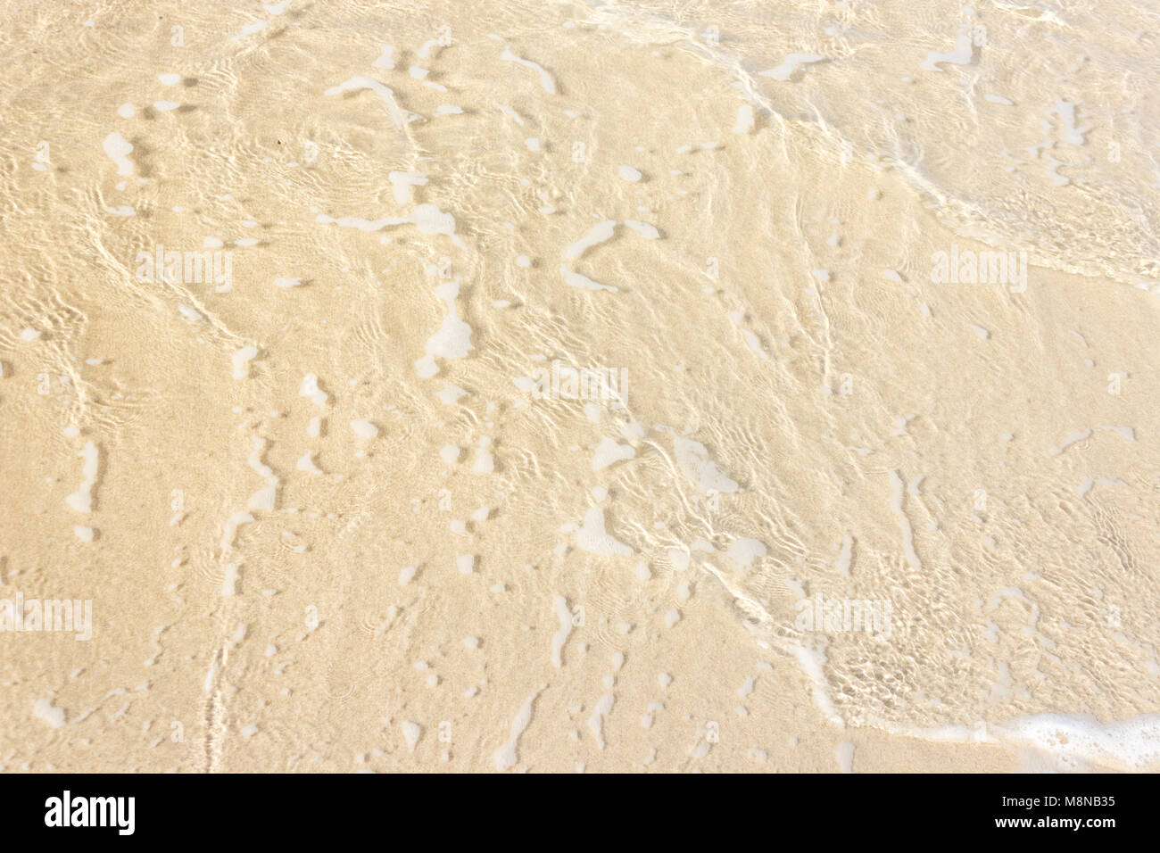 Vagues douces avec de la mousse de l'océan sur la plage de sable contexte Banque D'Images