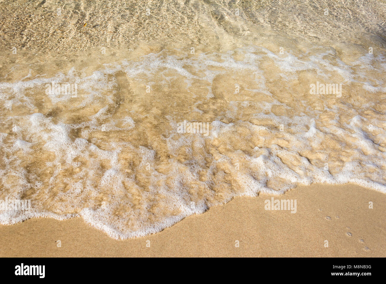 Vagues douces avec de la mousse de l'océan sur la plage de sable contexte Banque D'Images