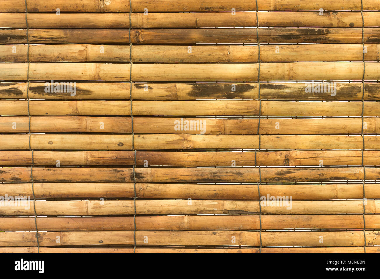 Bambou jaune horizontale pour la texture d'arrière-plan Banque D'Images