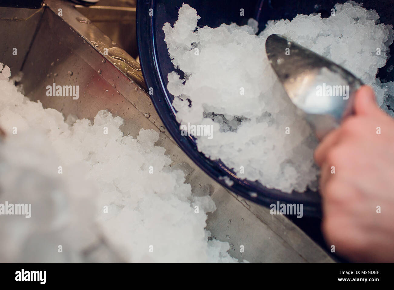 Boules de glace d'argent dans un grand seau rempli de glace Banque D'Images