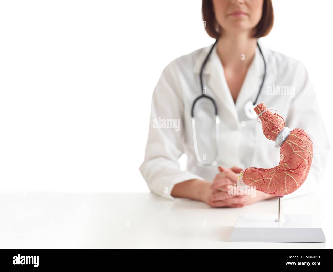 Médecin avec un modèle médical de l'estomac humain avec une bande gastrique. Banque D'Images