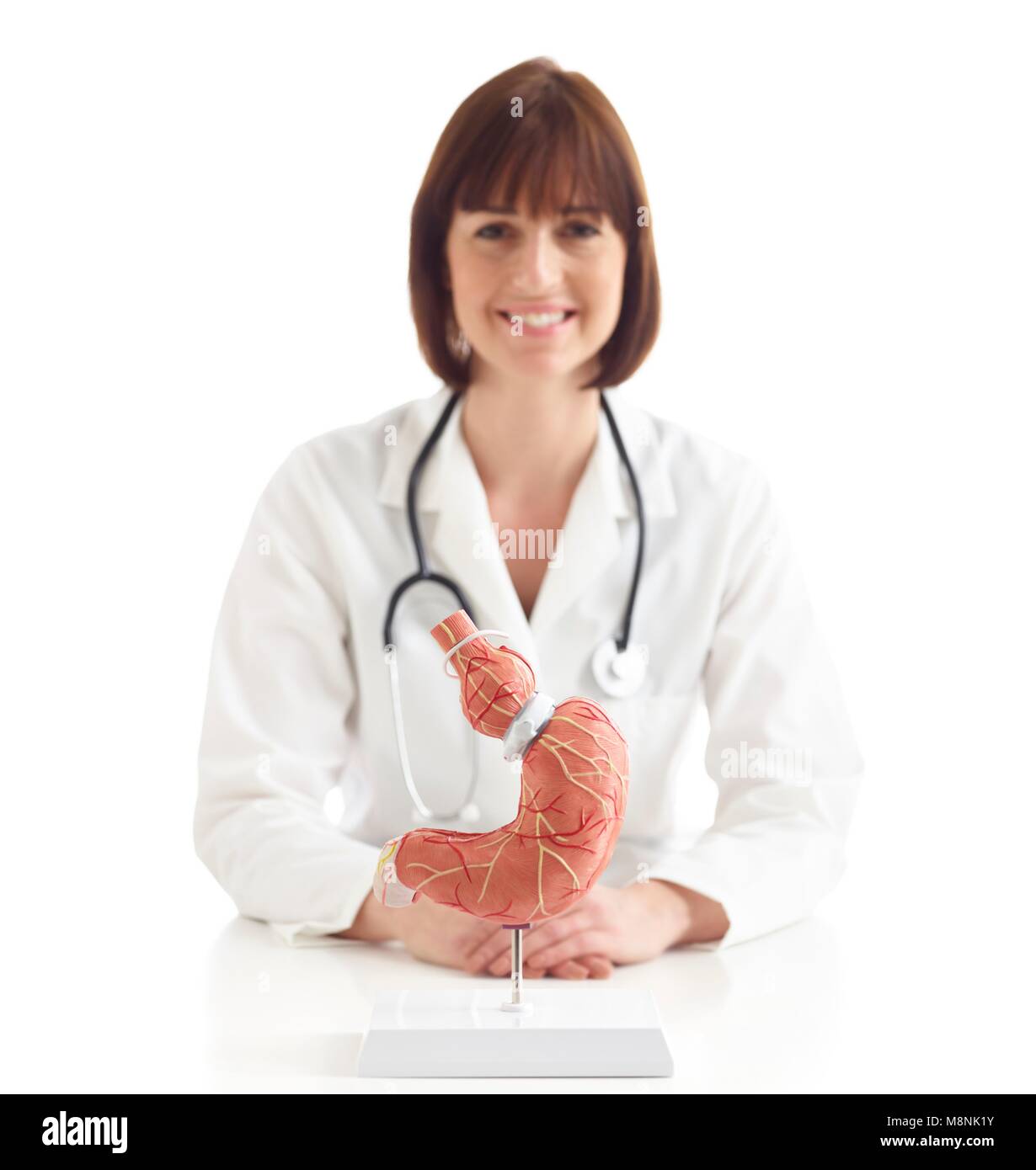 Médecin avec un modèle médical de l'estomac humain avec une bande gastrique. Banque D'Images