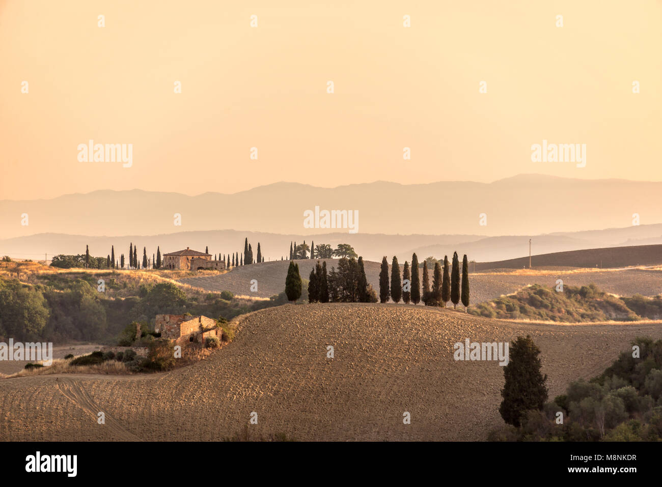 Paysage d'été au lever du soleil en Toscane, Italie Banque D'Images