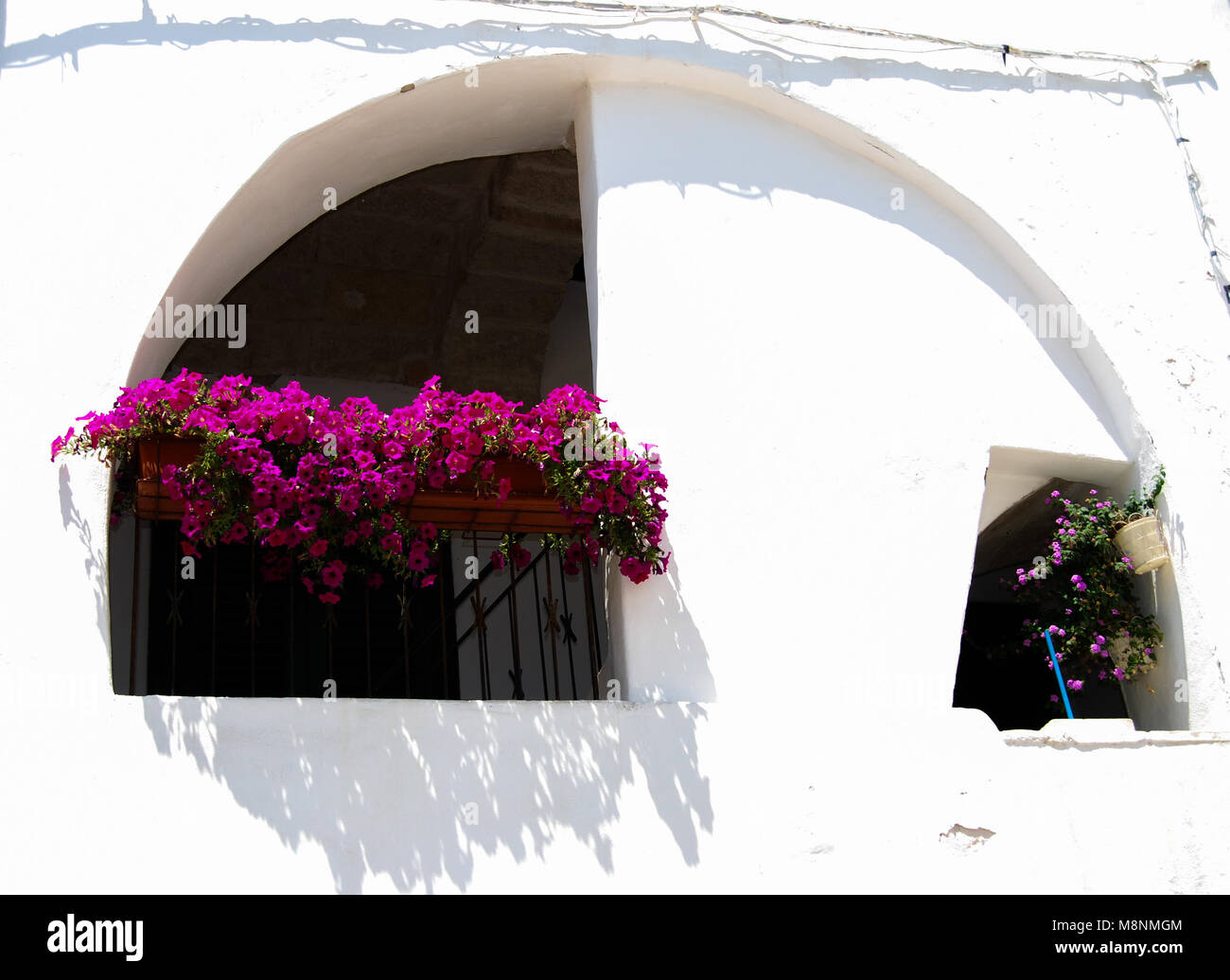 Maisons blanches typiques avec fleurs de pétunias roses à Polignano a Mare Banque D'Images