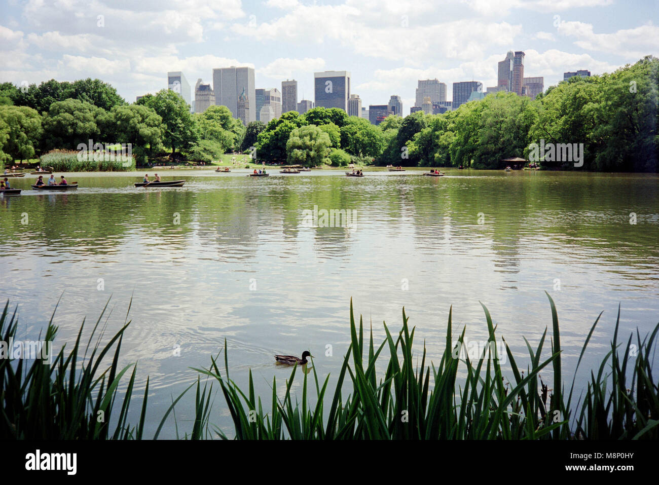 La VILLE DE NEW YORK, USA People rowing boats on the Lake in Central Park le 01/06/2010 Banque D'Images