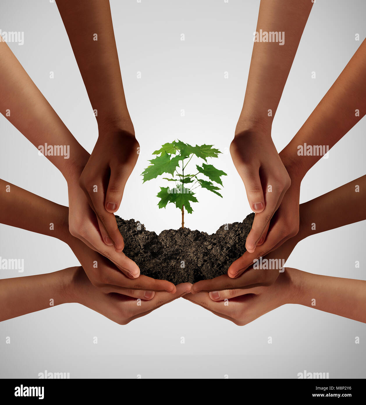 Groupe de gens divers soins et de responsabilité idée comme une coopération à travers la diversité sociale favoriser un jeune arbre arbre. Banque D'Images
