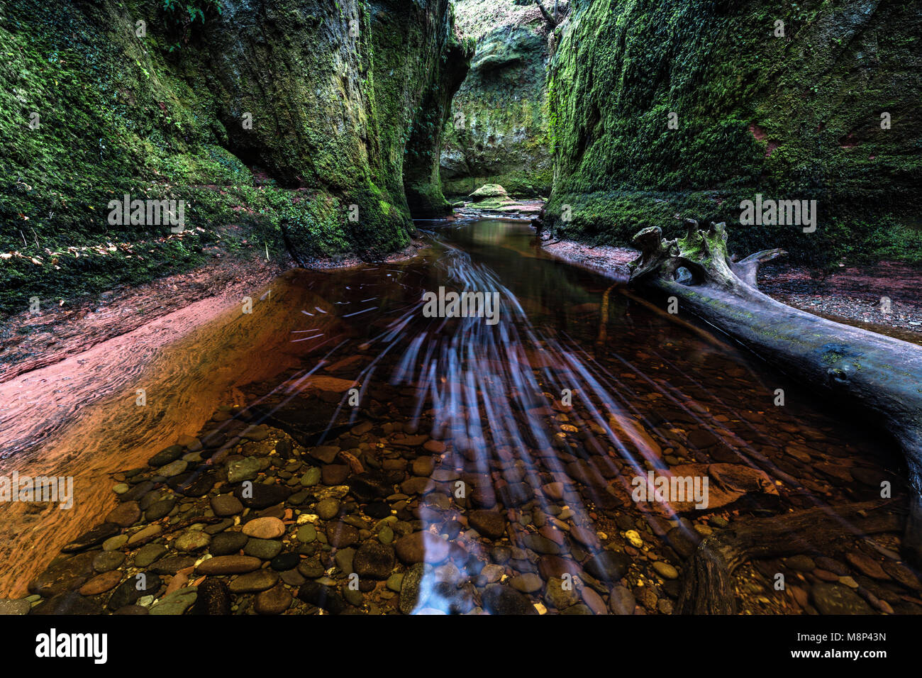 Glen Finnich gorge, également connu sous le nom de Devil's Pulpit près de Killearn, Ecosse, Royaume-Uni Banque D'Images