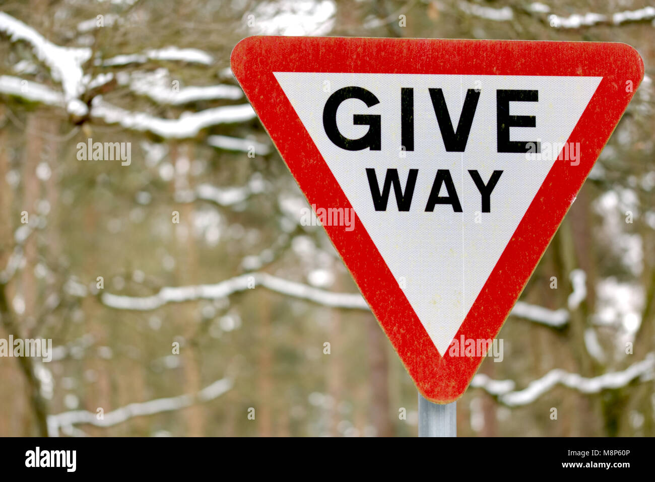Faire place road sign avec noir sur blanc en triangle d'avertissement rouge avec Snowy Woods n'est pas mise au point en arrière-plan. Banque D'Images