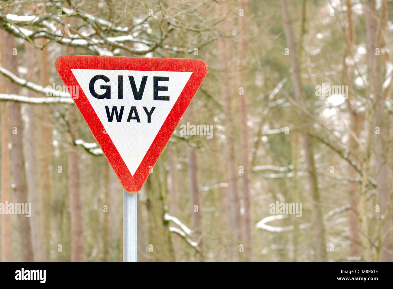 Faire place road sign avec noir sur blanc en triangle d'avertissement rouge avec Snowy Woods n'est pas mise au point en arrière-plan. Banque D'Images