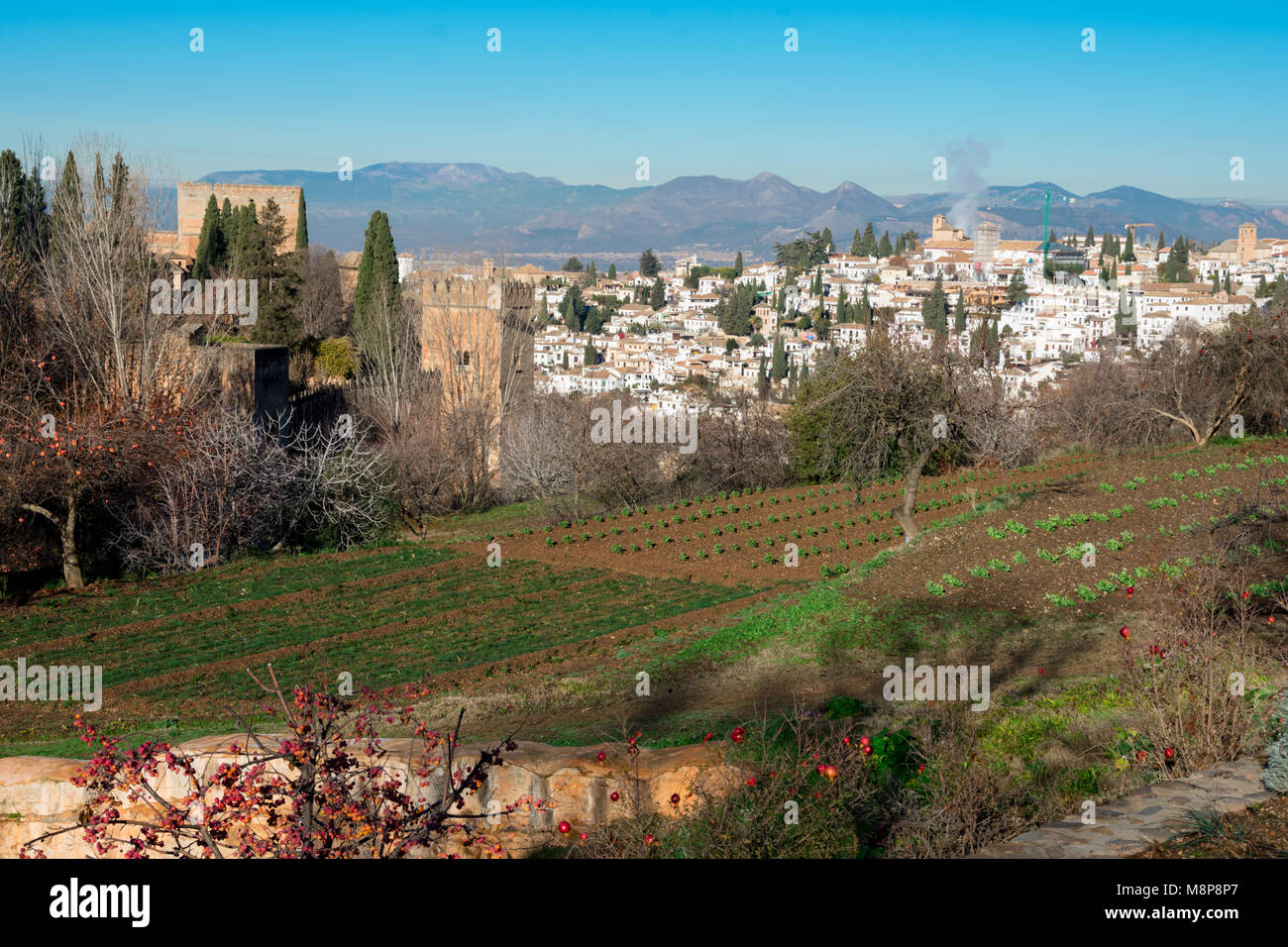 Vue de Grenade depuis les jardins du Generalife. Granada, Espagne Banque D'Images